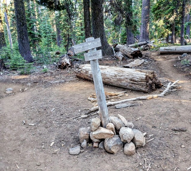 IMG_20190724_172438_510