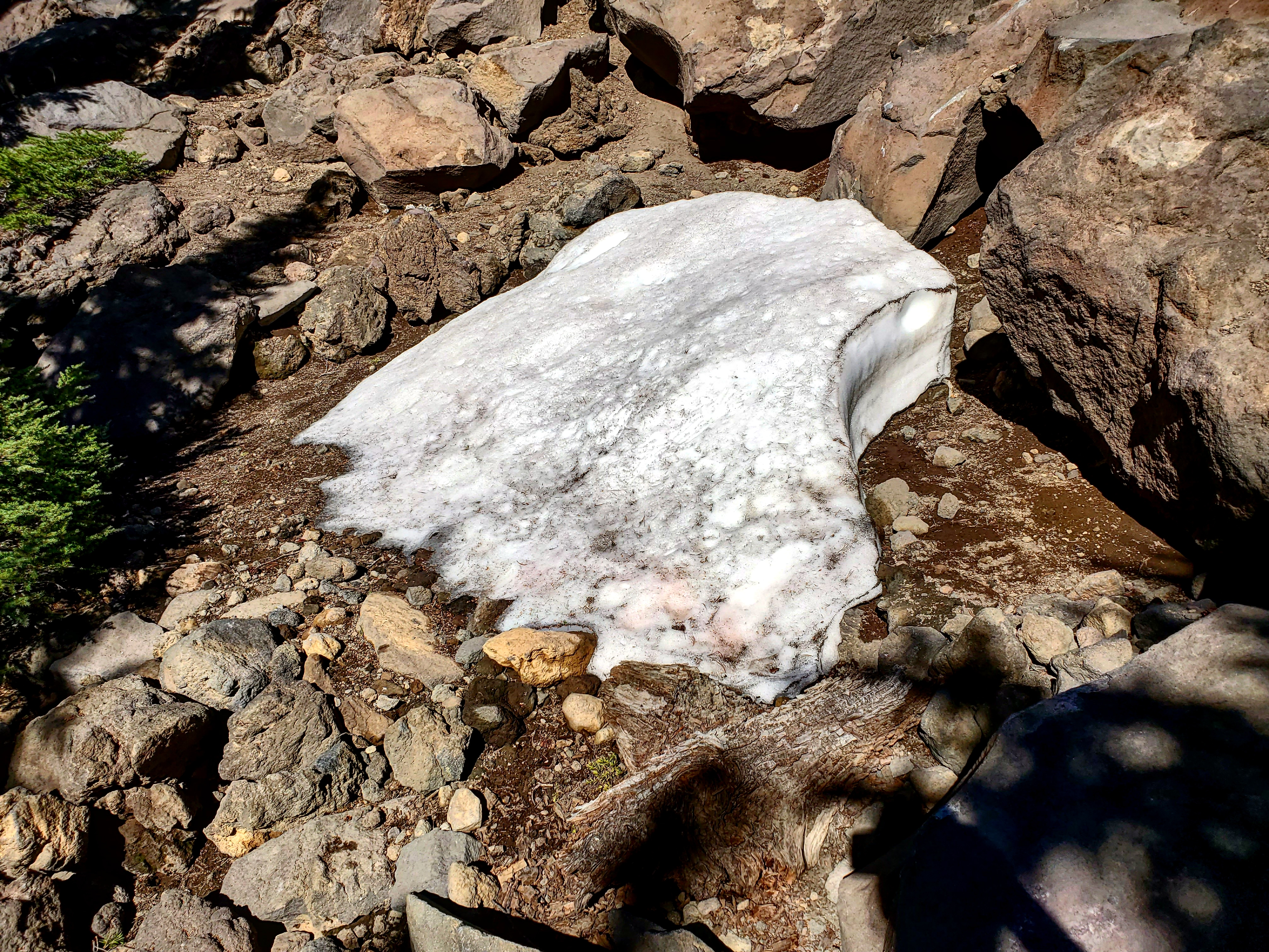 IMG_20190724_172844_094