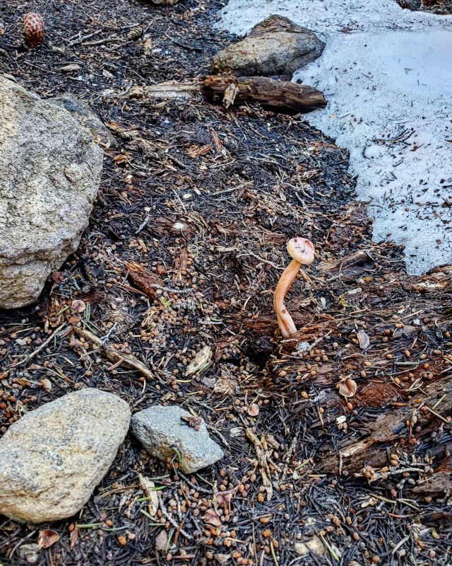 IMG_20190724_175723_966